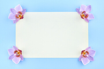 Blank paper with orchids on a blue background.