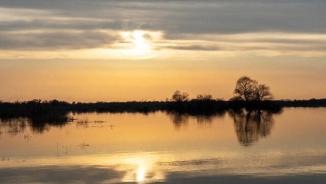 Flooded trees during a period of high water at sunset. Trees in water at dusk. Landscape with spring flooding of Pripyat River near Turov, Belarus. Nature and travel concept. © kalyanby