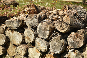 Totholz - Verwitterter Holzstapel