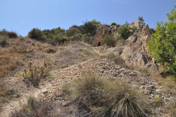 trail in the mountains