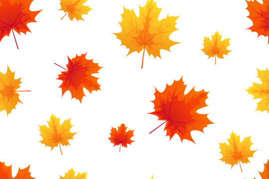 Autumn seamless pattern, orange and red maple leaves on white background.  Perfect for wallpaper, gift paper, template fill, web page background, autumn greeting cards. Vector illustration