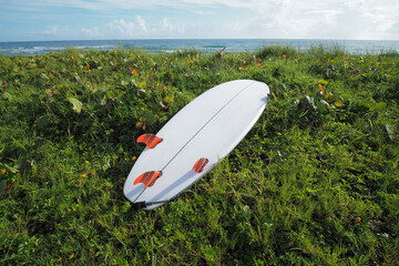 White short surfboard with orange fins on green grass next to the ocean.