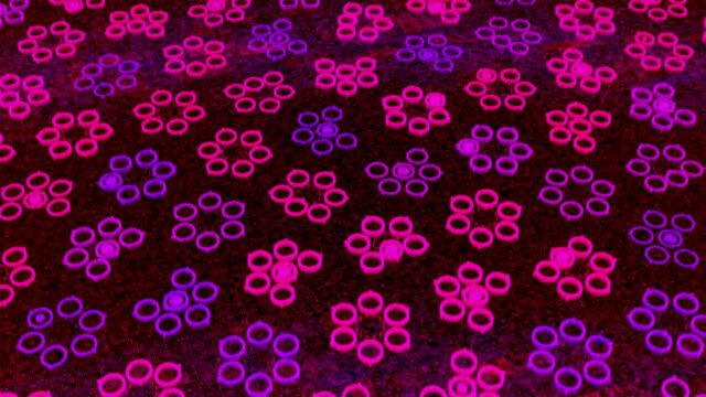 Bright pink background with many schematic flowers formed by moving circles. Animation. Seamless loop motion of same size geometric figures on a dark background.