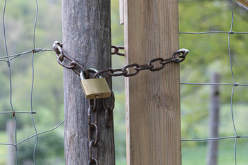 Closeup shot of the metallic chain with a lock connecting two logs

