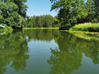 Fototapeta na wymiar landscape of Pavlovsk Park wooded shore canals summer day