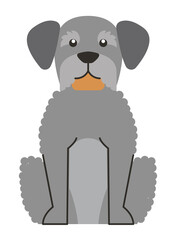 gray dog mascot