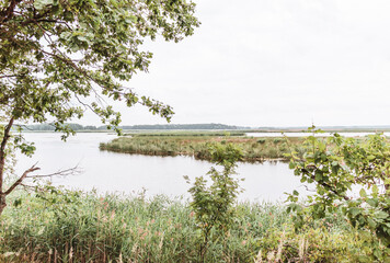 View from the bank to the floodplains and the river overgrown with reeds in cloudy weather