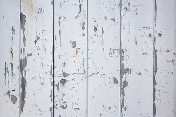 Grunge Scratched White Wooden Door