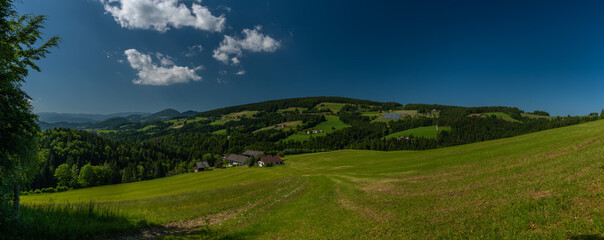 Pass near Niederer Schockl hill with green meadows and fences in Austria