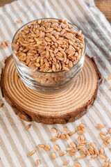Wholegrain uncooked raw spelt farro in the bowls on grey stone table background, food cereal background, close up