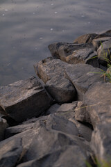 rocks on the shore