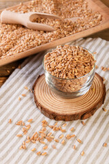 Wholegrain uncooked raw spelt farro in glass bowl on the wooden background, food cereal background, close up