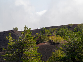 Forest on the north of Mount Etna