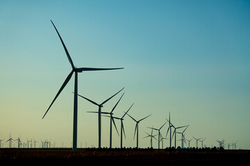 wind turbines in the field