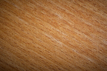 Grunge textured wooden background. (Common beech, Fagus sylvatica). Showing plenty of texture and grain.