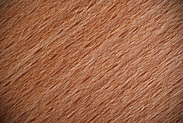 Grunge textured wooden background. (Common beech, Fagus sylvatica). Showing plenty of texture and grain.