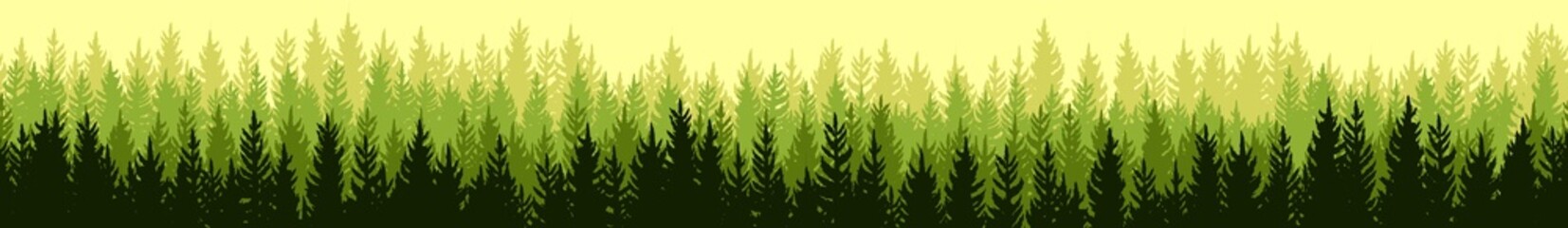 Coniferous forest silhouette. Wild trees. Pine, cedar, spruce, fir, larch. Siberian taiga. Beauty of harsh northern nature. Landscape is horizontal. Illustration vector