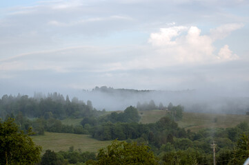Krajobraz widok oświetlonej polany we mgle z różnymi gatunkami drzew 

