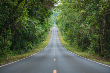 A straight steep road to entrance to Khao Yai national Park to see the beauty of the tropical forest in Khao Yai National Park. UNESCO World Heritage Area, Unseen Thailand.