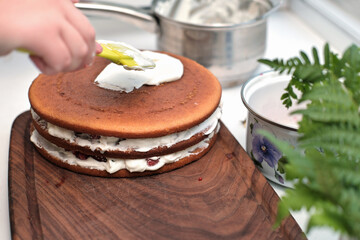 female hand applying a frosting on a sponge layered cake with kitchen silicone spatula. home bakery. hobby for lockdown time