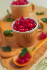 In small ceramic cups there are ripe red currants from the village garden