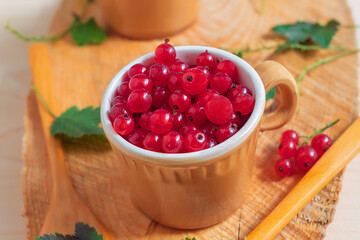 Ripe red currants from the village are in a small cup