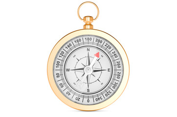 Golden Compass, 3d rendering