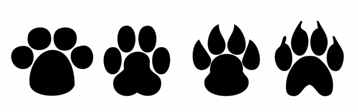 Paw Print. Dog and cat paw print. Animal paw prints isolated on white background