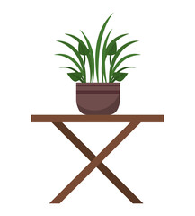 houseplant in table