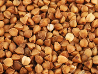 Buckwheat grains background, close-up