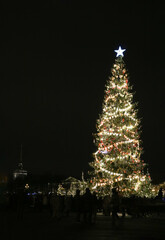The Christmas tree of a fabulous Christmas night on Palace Square against the background of the Admiralty.