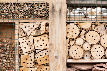 Insect hotel detail made of natural material like wood, branches, bamboo sticks and shells for a better biodiversity and helping our nature
