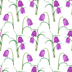 Watercolor hand-drawn Pattern with Pink Flowers Bells on a white background.