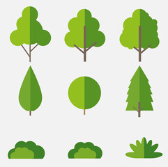 vector illustration, various of tree shape