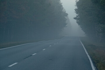 Amazing nature landscape with trees and asphalt road in morning fog. A remote road leading though the dense forest fog