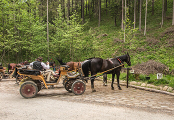 Horse carts at the entrance to the Koscieliska valley waiting for tourists who want to go through the national park to the Ornak shelter.