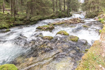 Fototapeta premium Mountain stream flowing along the road in the valley, in the lower parts of the Tatra Mountains