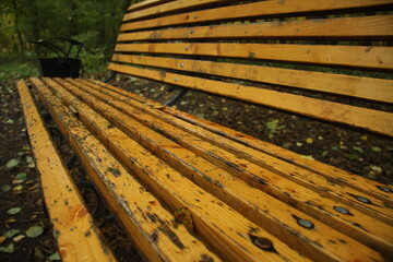 лавочка в лесу 