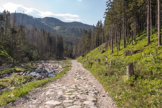 A rocky road through a valley in the lower parts of the Tatra Mountains