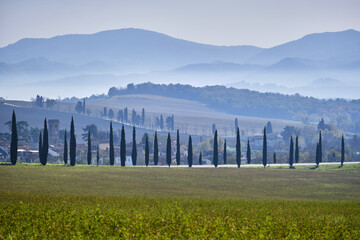 Countryside in Tuscany