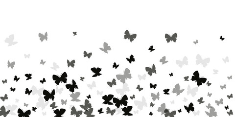 Tropical black butterflies isolated vector wallpaper. Summer cute moths. Detailed butterflies isolated kids background. Tender wings insects patten. Fragile beings.