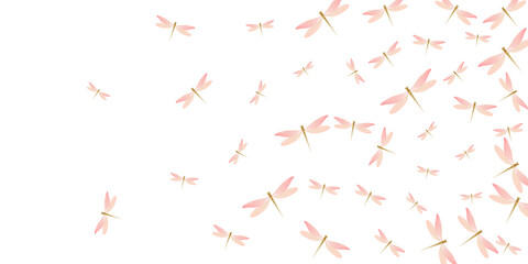 Exotic rosy pink dragonfly isolated vector illustration. Spring beautiful damselflies. Simple dragonfly isolated children background. Delicate wings insects graphic design. Fragile beings