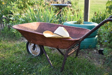 Wheelbarrow by a Flower Garden