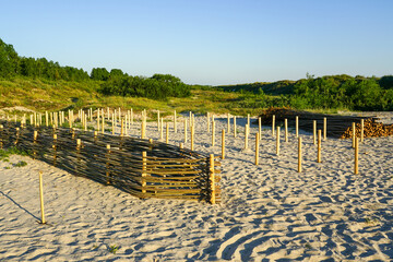 construction of a wooden branch barrier to prevent the movement of sand dunes