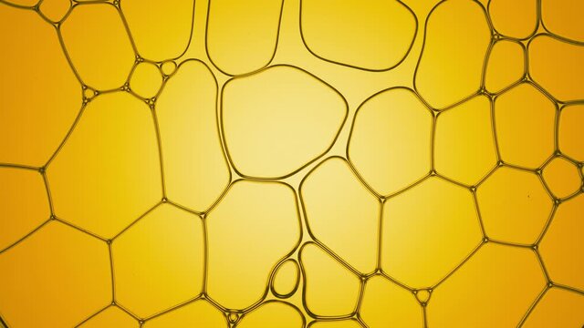 Transparent liquid flows between different sized clear yellow oily bubbles disconnecting them for a while on yellow background | Macro shot of body care cosmetics with olive extract for its commercial