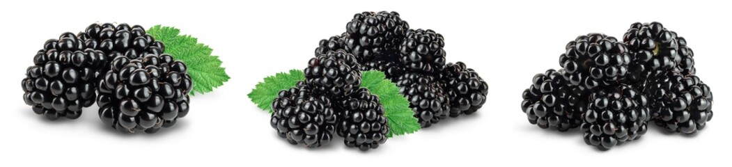 blackberry with leaf isolated on a white background closeup with full depth of field. Set or collection