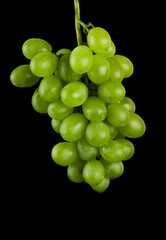 A bunch of table grapes, white pouring, on a black background isolated