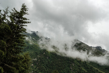 Mountains in the fog