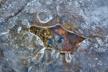 Ice and stones in water