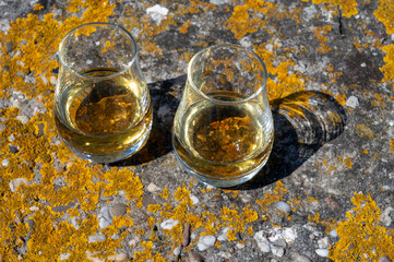 Tasting of single malt Scotch whisky, private whisky tours in Scotland, UK